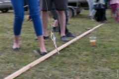 Aeruramm2015-25