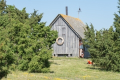 DSC_4478