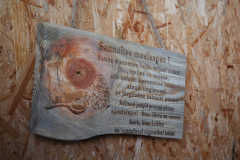 LAIMJALA-AERURAMM-SAAREMAA-PADDLING-KAYAK-SEA-SEAKAYAK-PADDLE-PAAT-SUST-KAJAKK-MERI-CANOE-25
