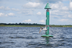 LAIMJALA-AERURAMM-SAAREMAA-PADDLING-KAYAK-SEA-SEAKAYAK-PADDLE-PAAT-SUST-KAJAKK-MERI-CANOE-30