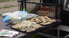 40294489_1989193271146758_871970870388588544_o